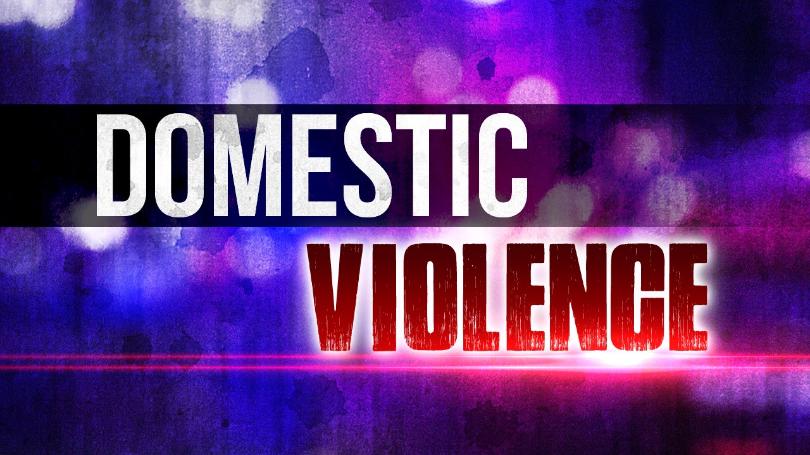 domestic+violence86